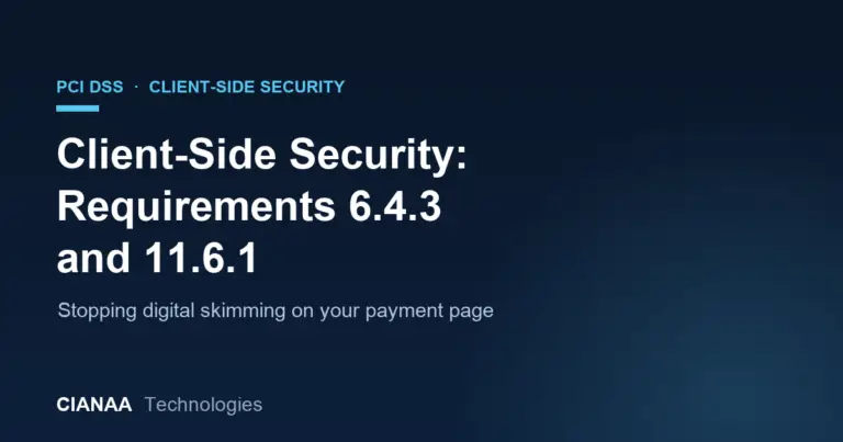 Client-Side Security: PCI DSS Requirements 6.4.3 and 11.6.1