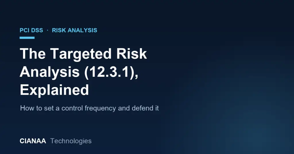 The PCI DSS Targeted Risk Analysis (12.3.1), Explained