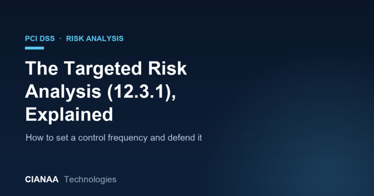 The PCI DSS Targeted Risk Analysis (12.3.1), Explained