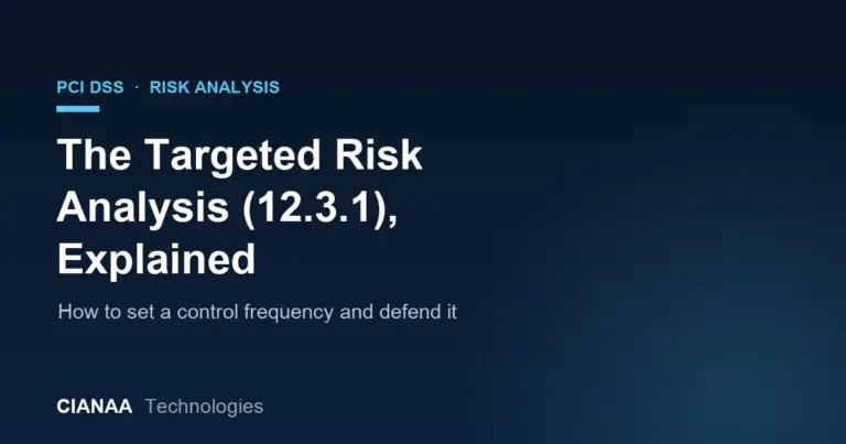 The PCI DSS Targeted Risk Analysis (12.3.1), Explained